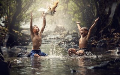 Authentic Happiness ( cont’d )